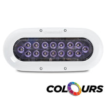 Load image into Gallery viewer, Ocean LED X-Series X16 - Colours LEDs [012311C]
